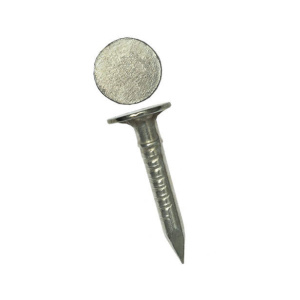 Гвозди толевые оц. 2,5х20 (1кг)