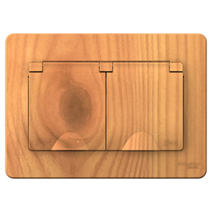 Розетка 2-м СП Blanca IP44 с/з со/ш ясень BLNRS441125