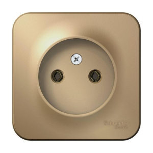 Розетка 1-м ОП Blanca б/з б/ш титан BLNRА000114