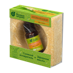 Ароманабор Банные штучки-32483 (солян. испаритель+масло эфирн. Эвкалипт) / 796596