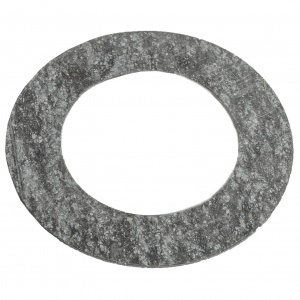 Прокладка паронитовая Ду15 Ру10-40 кольцевая 29401 (2шт)